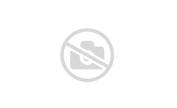 Коньково-карнизная черепица ТЕХНОНИКОЛЬ Коричневый оптима 250х1000 мм (20 гонтов, 20 пог.м, 5 кв.м)